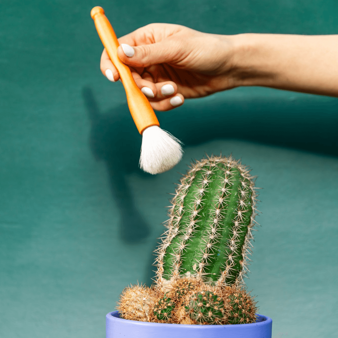 Dusting Brush