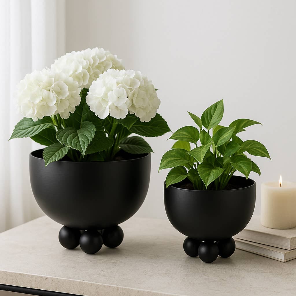 Metal Ball Feet Bowl Planter - Black, 9"