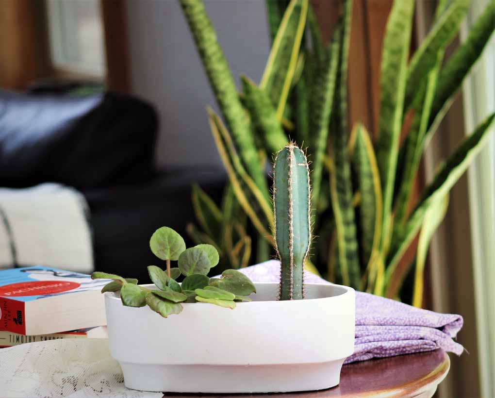 Art décor oval planter