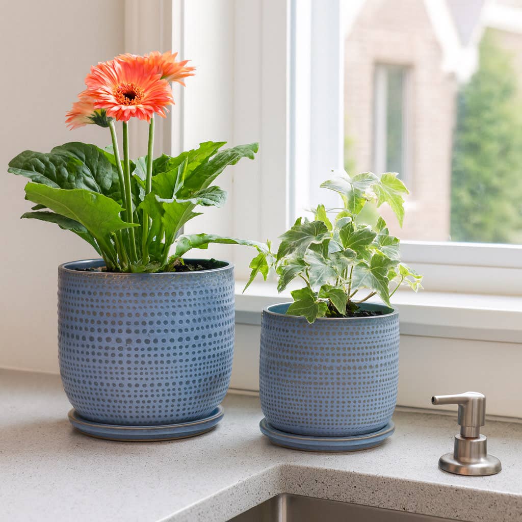 Blue Ceramic Textured with Saucer, 6"