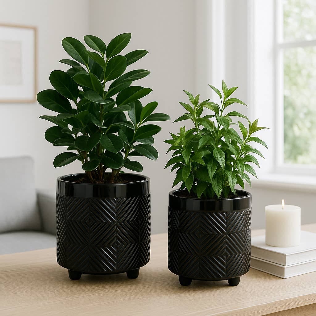 Ceramic Textured Footed Planters - Black, 6"