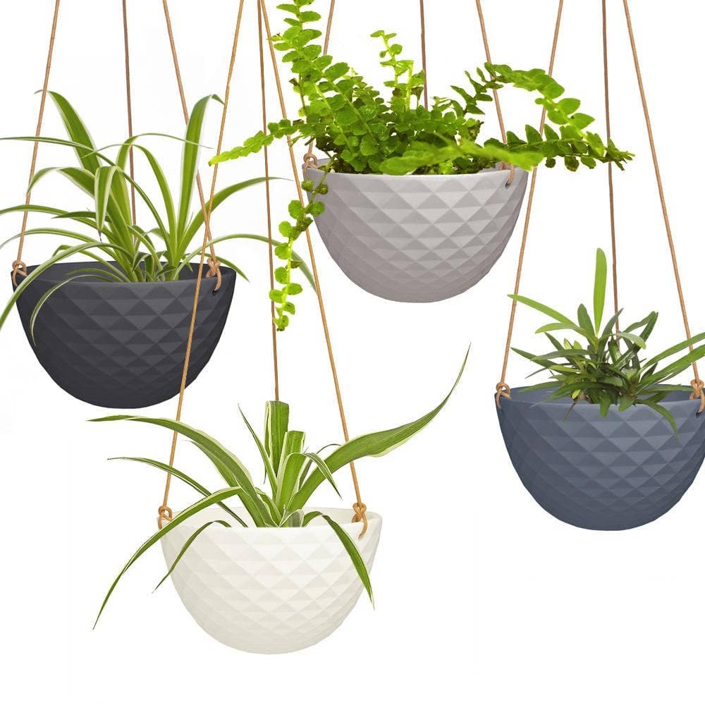 Mofo Hanging Planter and Succulent Dish