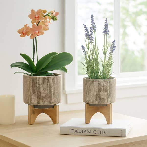 Planters On Stands - Tan Ceramic Mesh, 5"