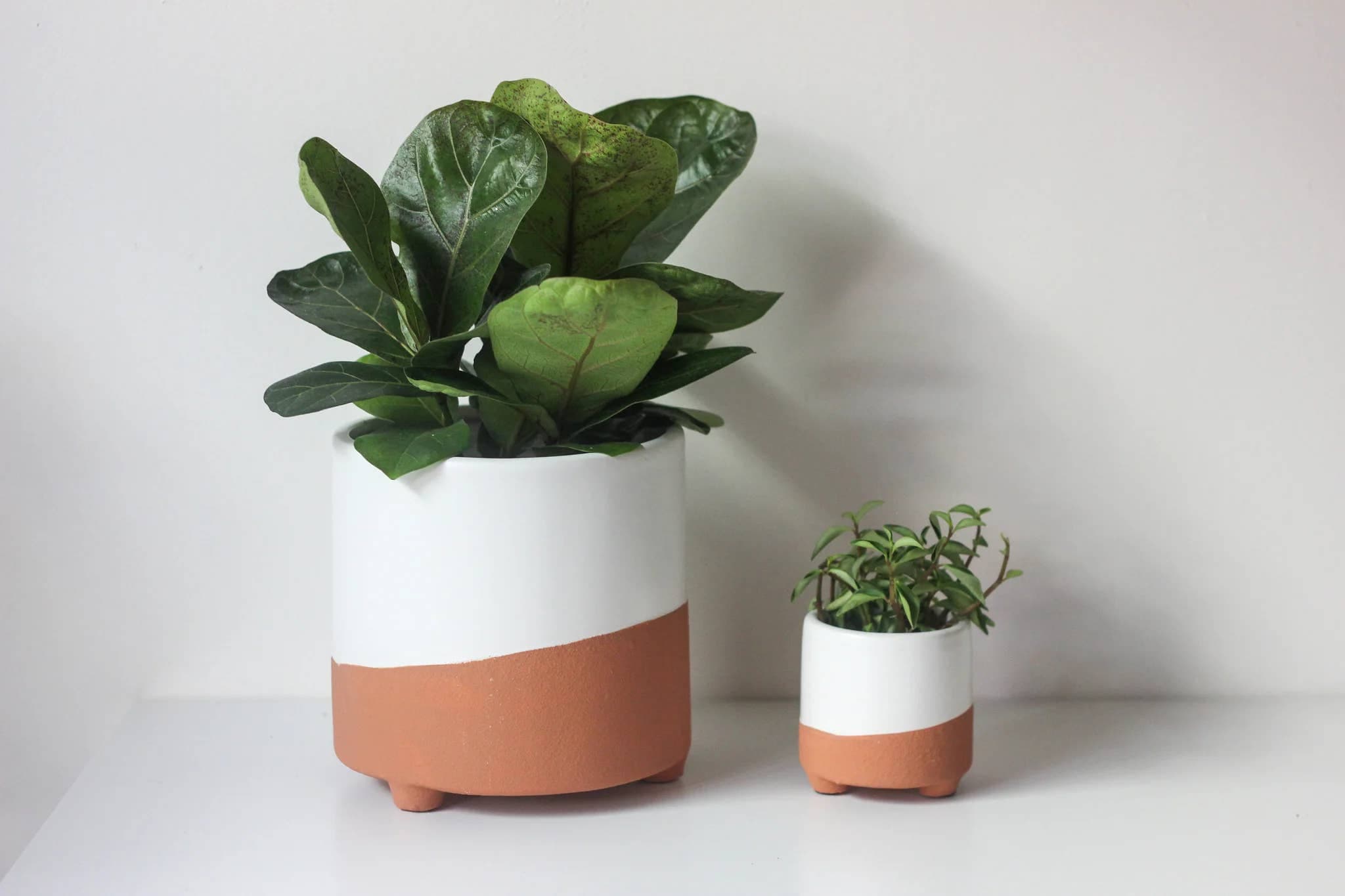 Large Terracotta and White Footed Boho Minimal Planter Pot