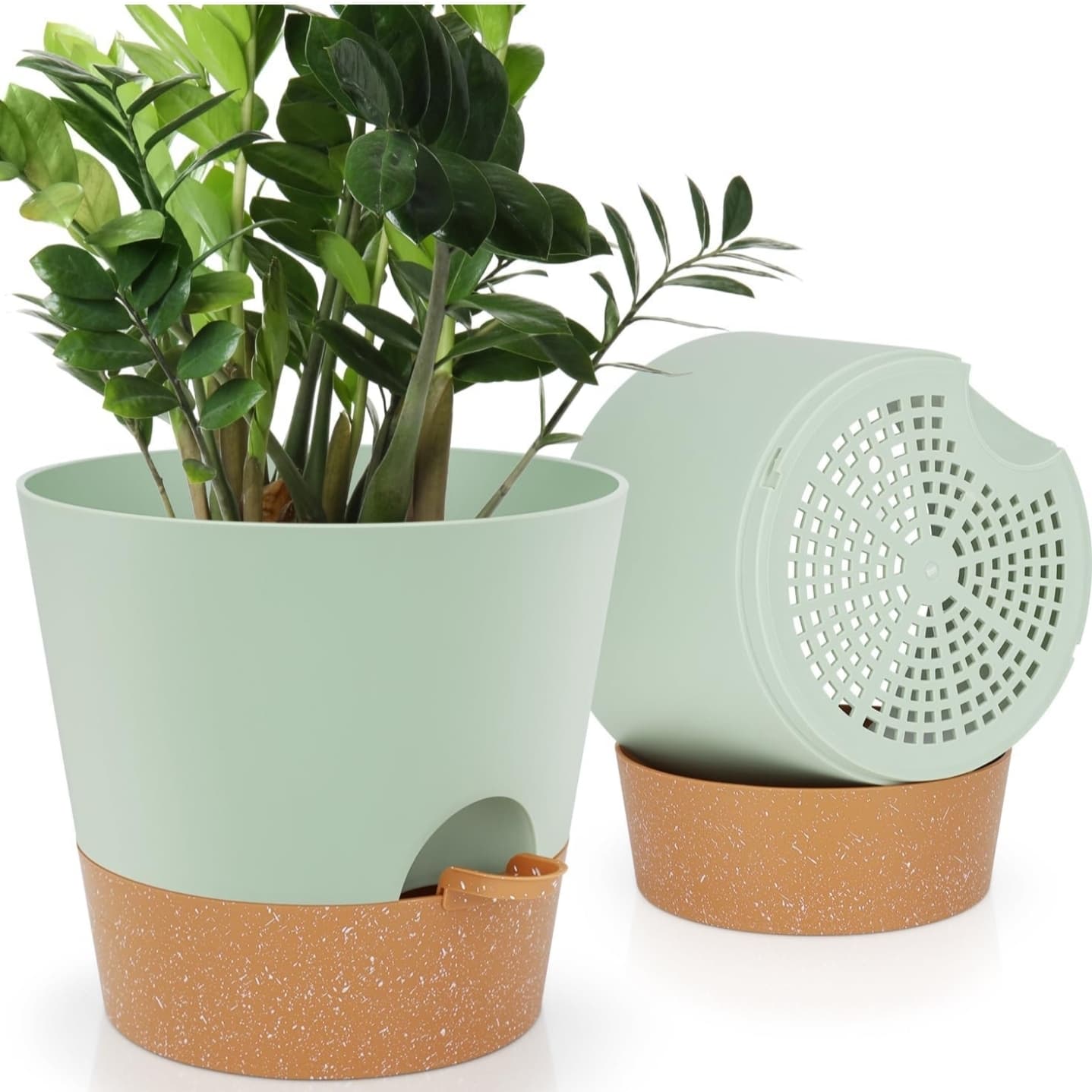 Self Watering Pots