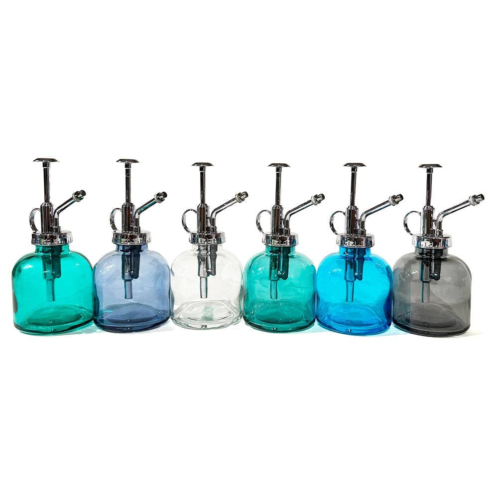 Mr Mister Modern GlassPlant