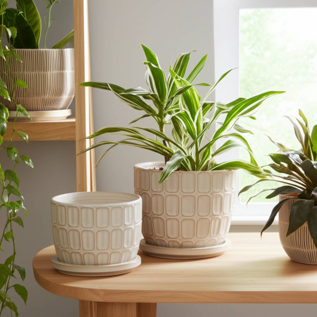 Ivory 6" Ceramic Squoval Saucer Planter